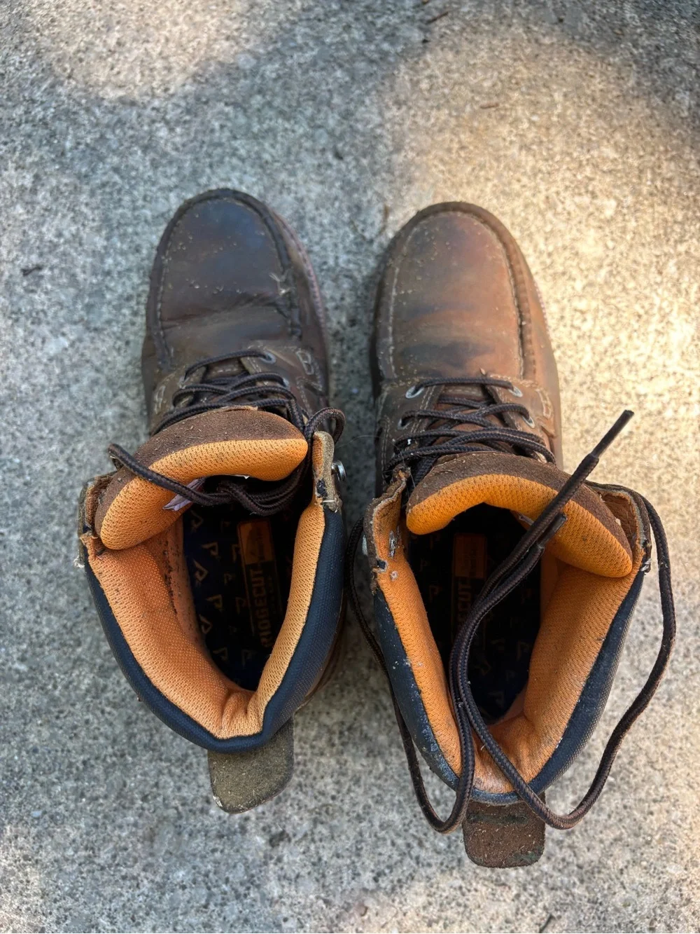 Men's Ridgecut Steel Toe Boots
